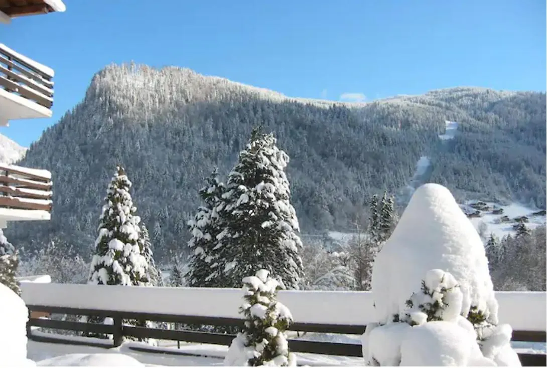 Appartement Familial - Tout Confort - Garage Morzine 0*,  France
